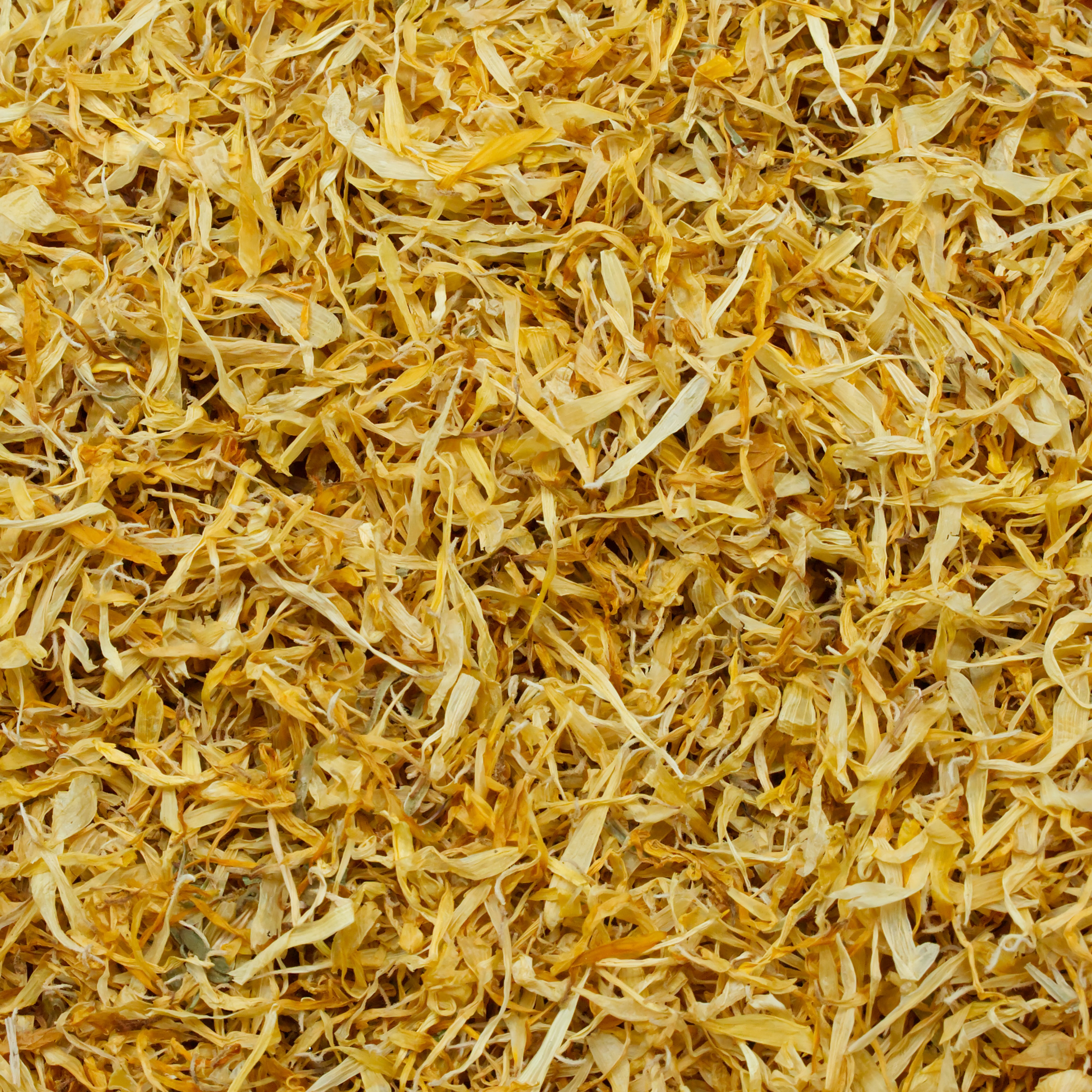 Ringelblumenblütenblätter