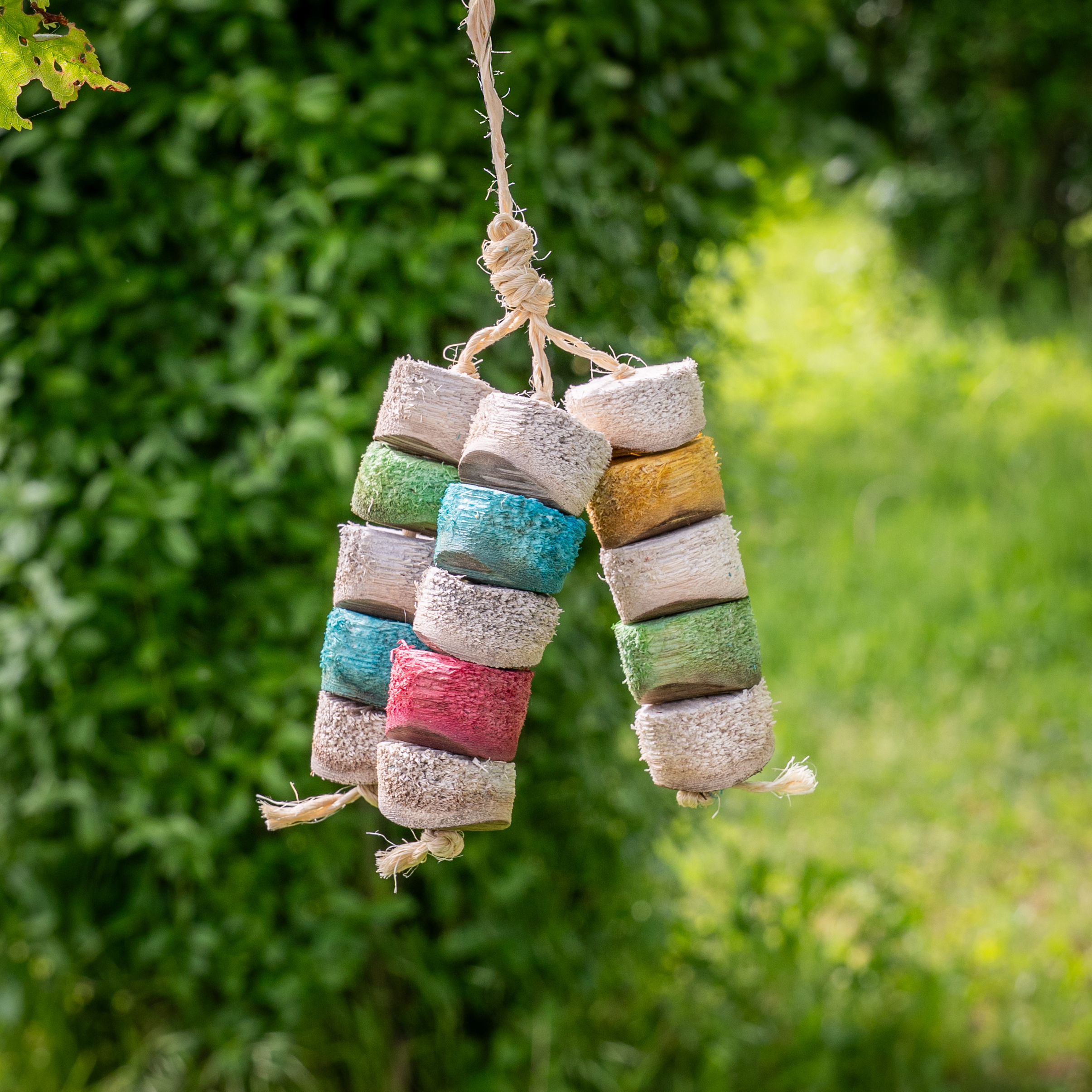 Chiquito Bird Kabob