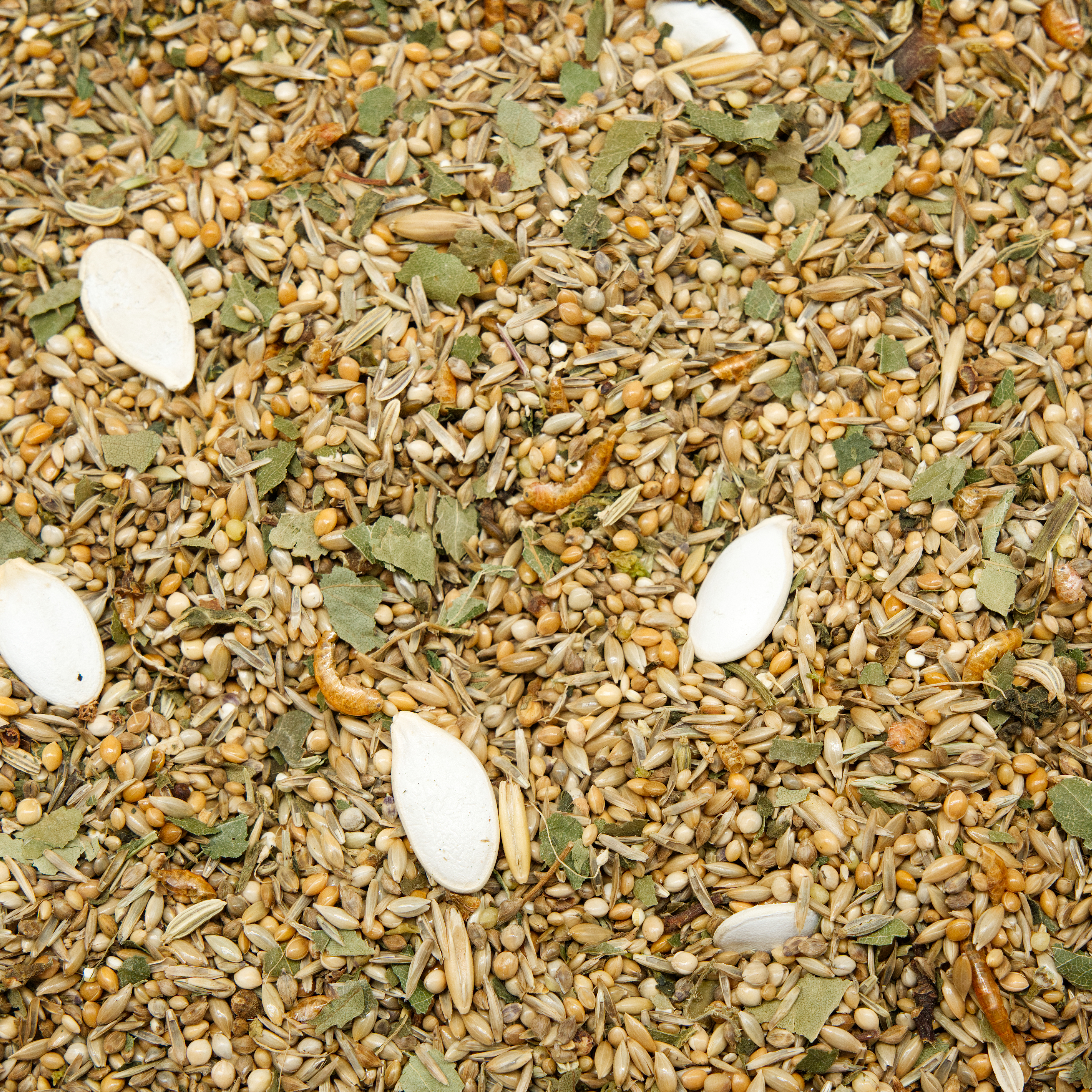 Mischung Muskelaufbau, 500g