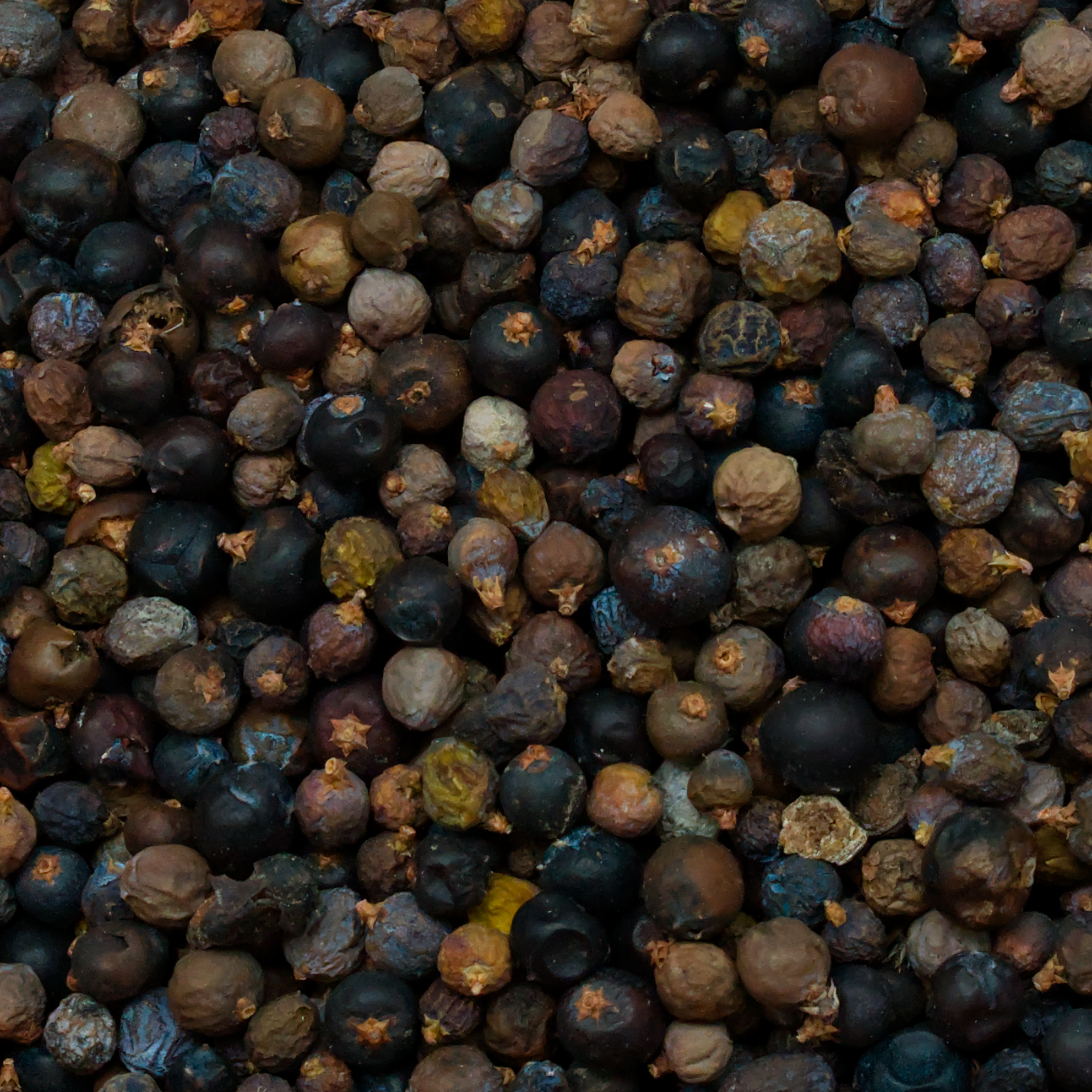 Wacholderbeeren