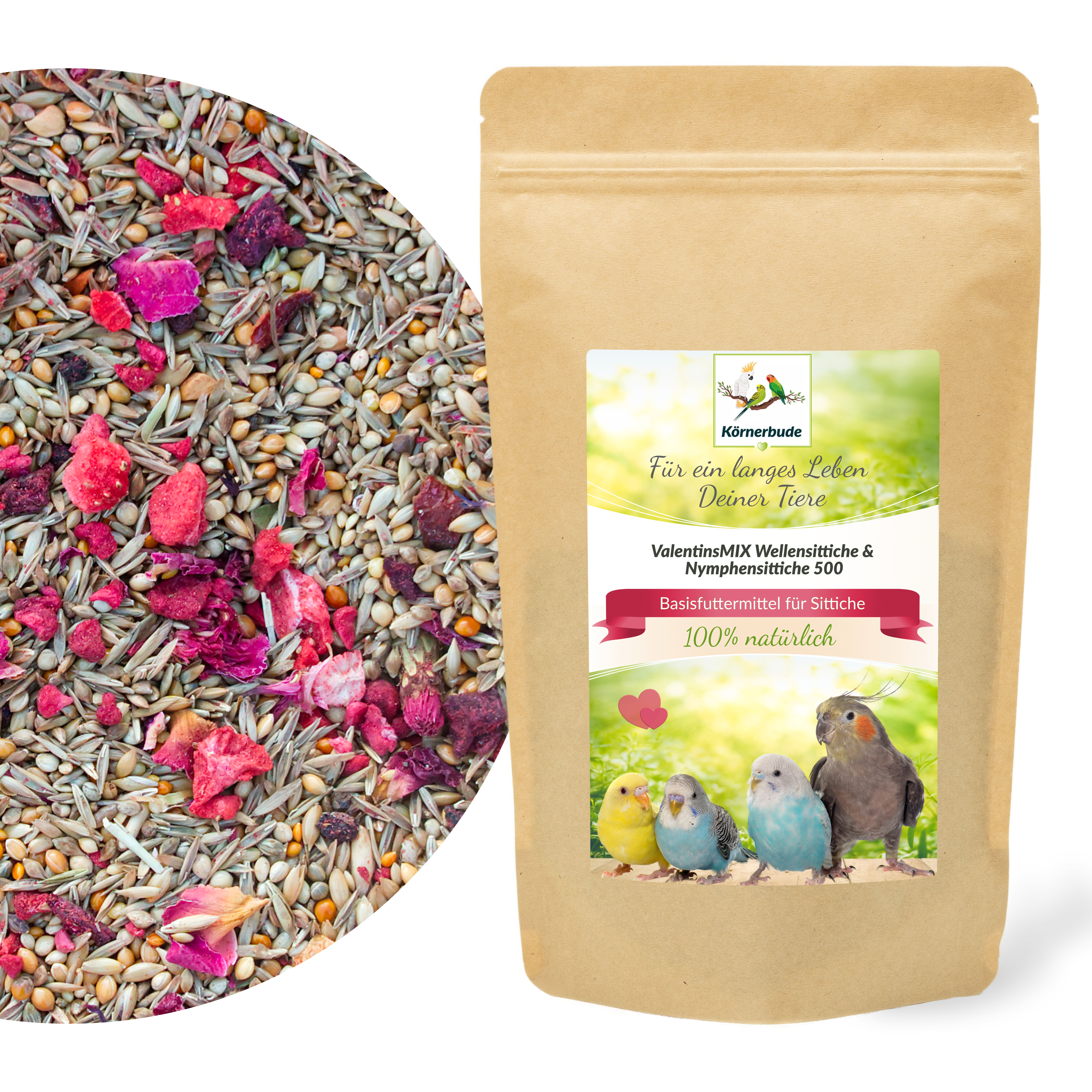 ValentinsMIX Wellensittiche & Nymphensittiche