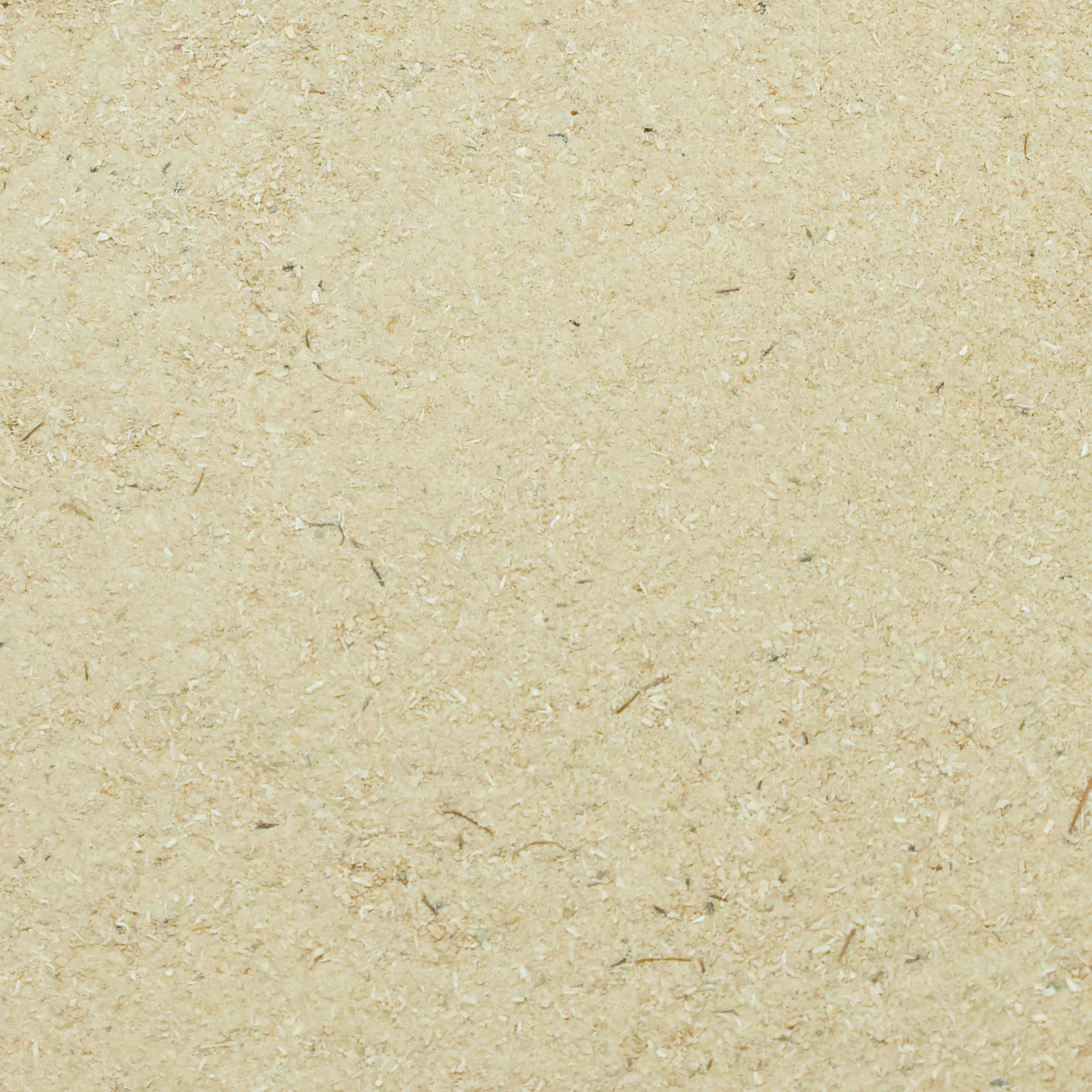Grünlippmuschelmehl, 100g