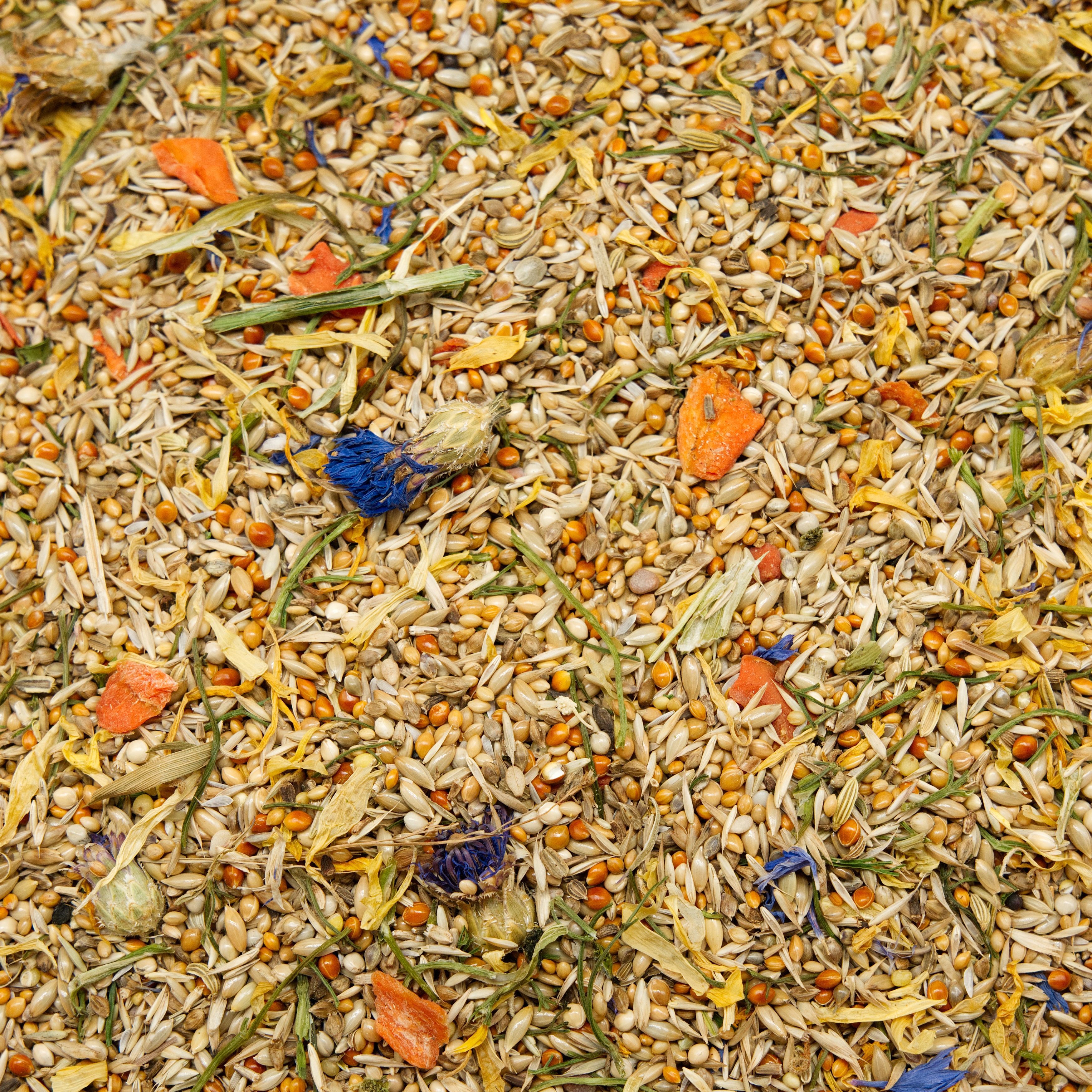 Körnerbude Premium-Mischung