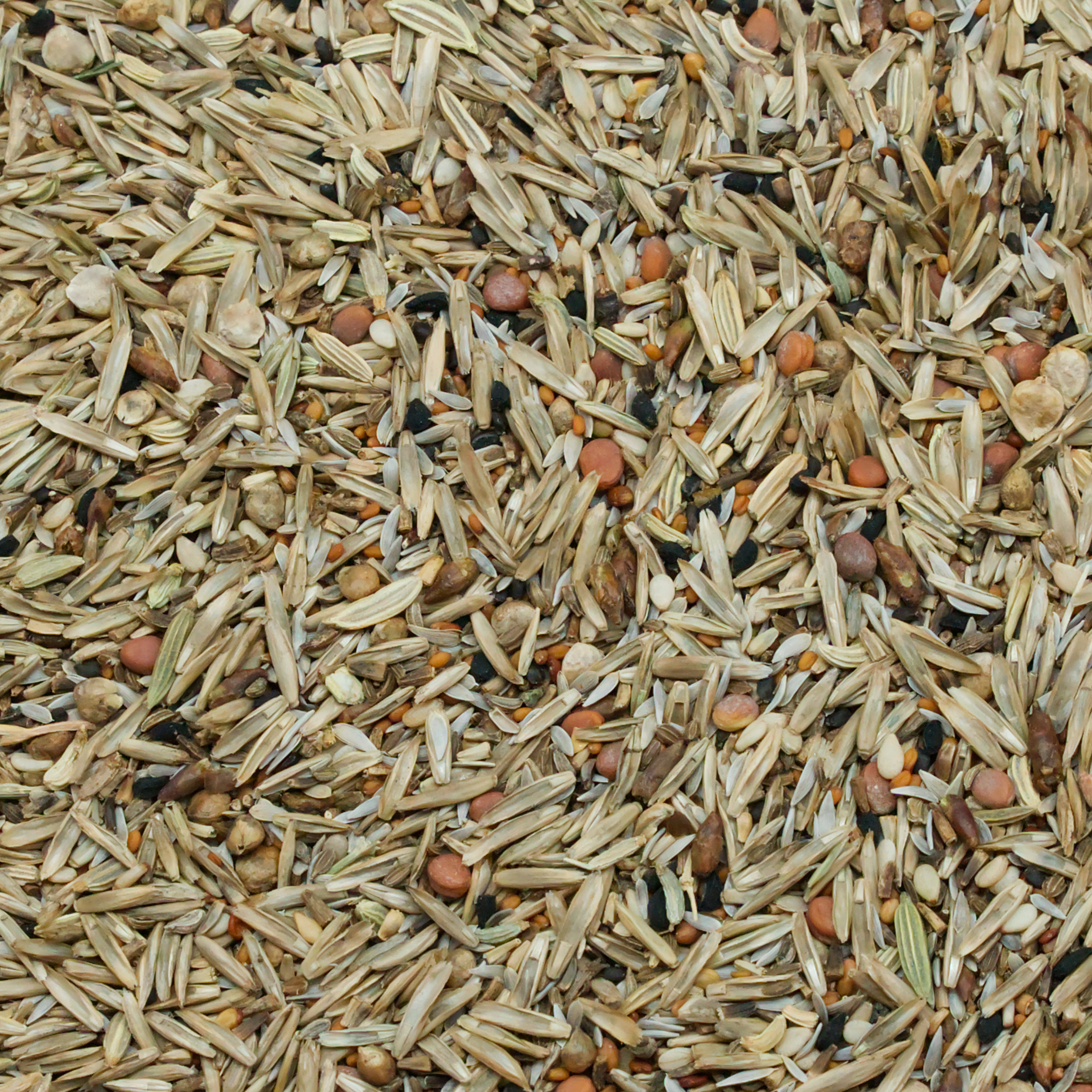 Wildsamen NaturMIX