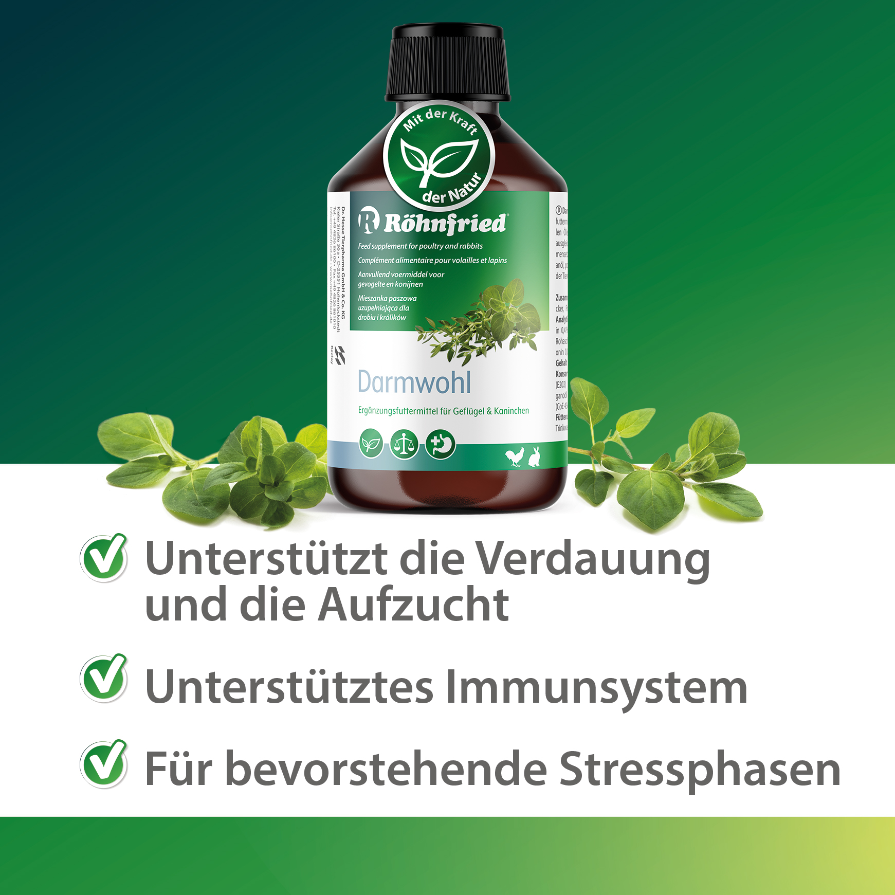 Darmwohl – 250 ml