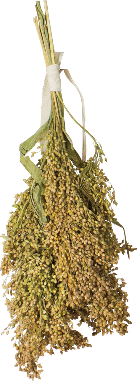 JR Birds Rispenhirse 100 g
