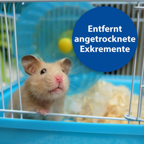 Bactazol Universalreiniger 500ml