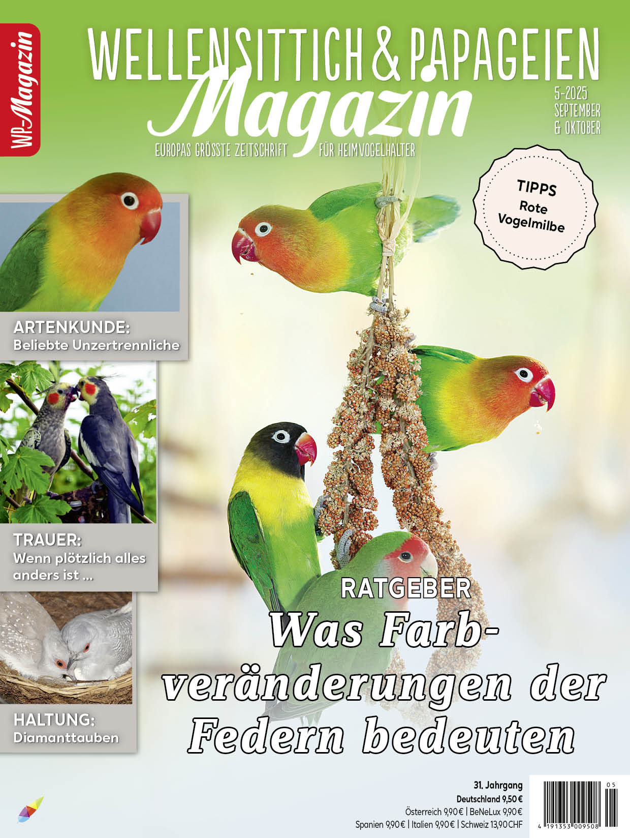 WP-Magazin 5-2025