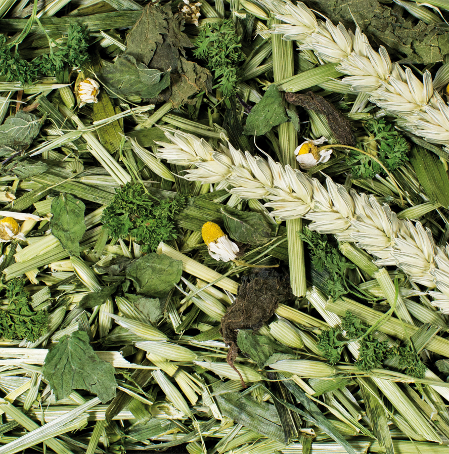 JR Kräutergarten 500 g