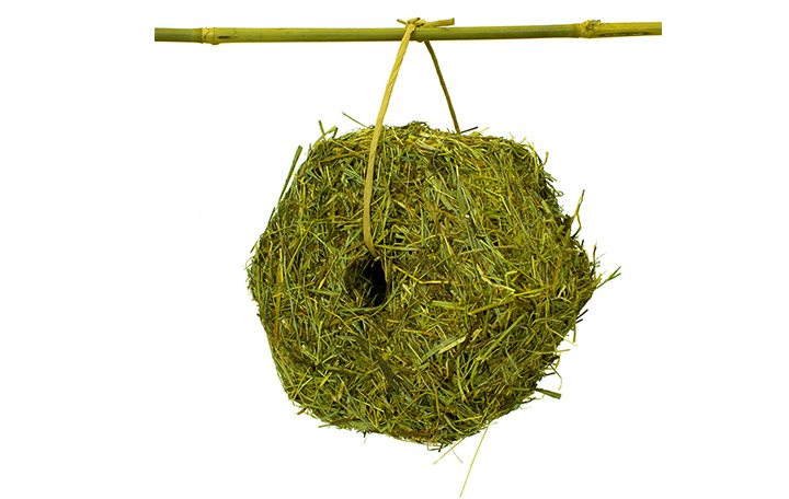 JR Hay Cube 600 g