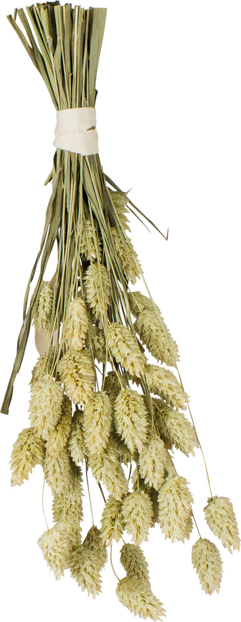 12715_2 JR Birds Kanariensaat 20 g