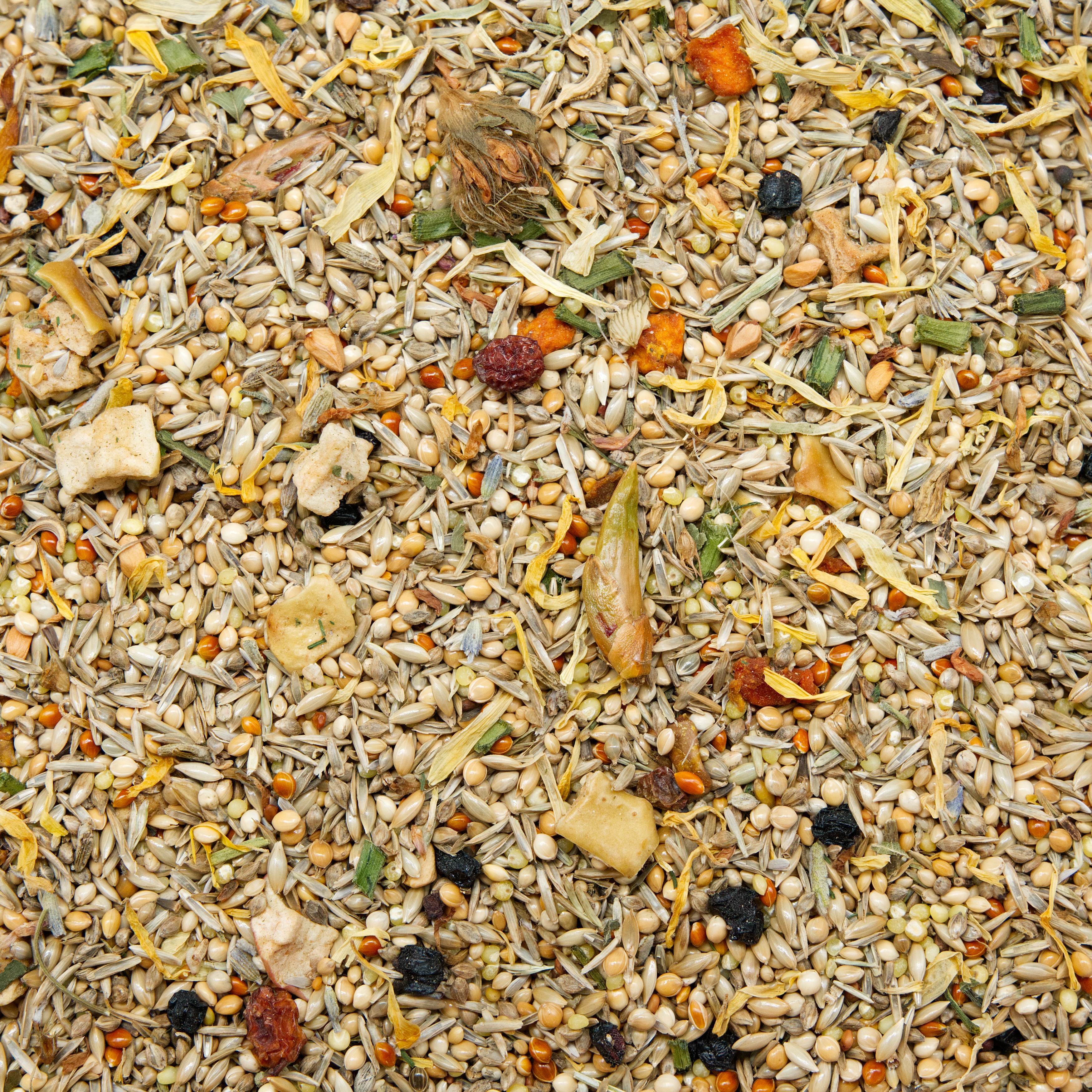 HerbstMIX 500g
