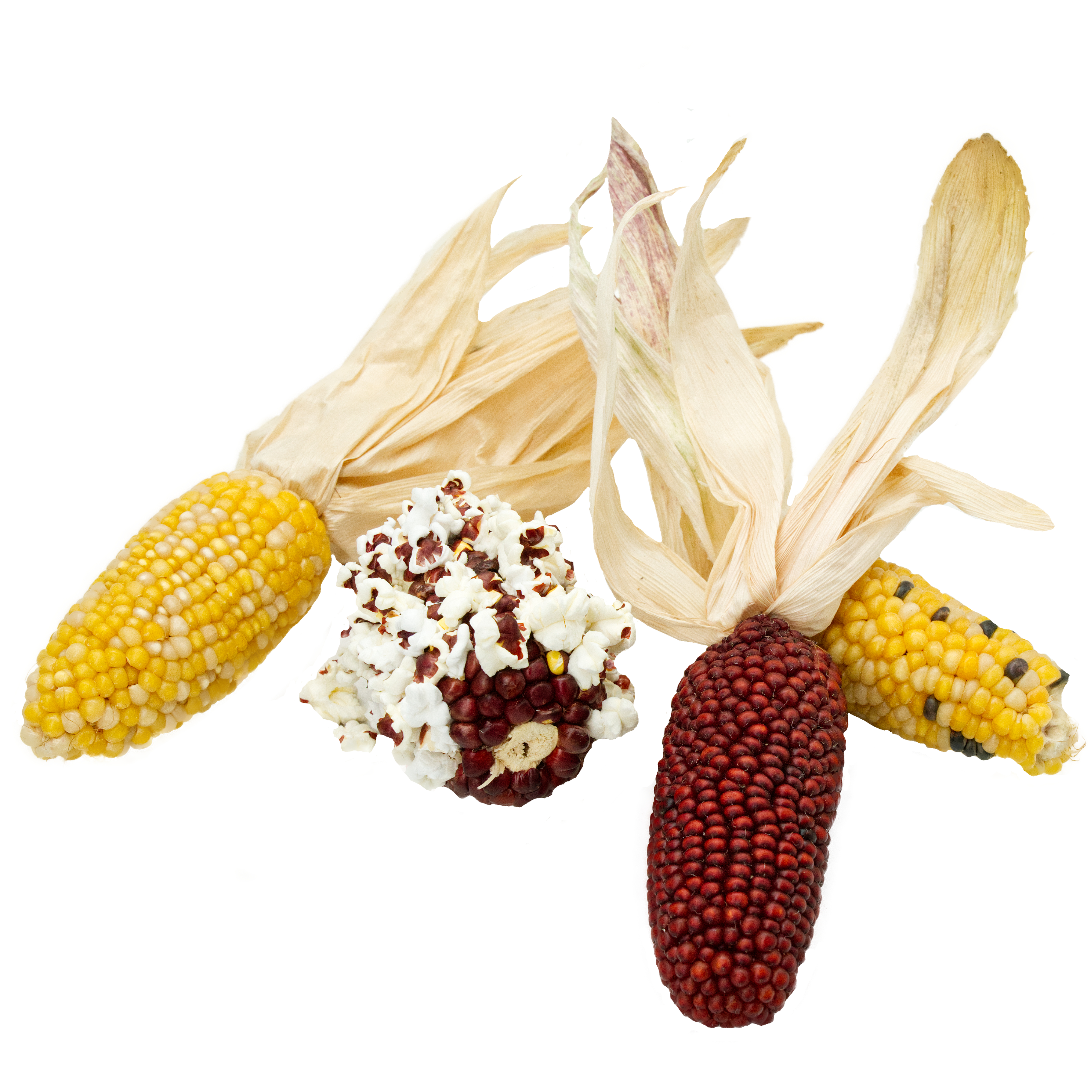 Trio Mais mit Pop ca. 150g