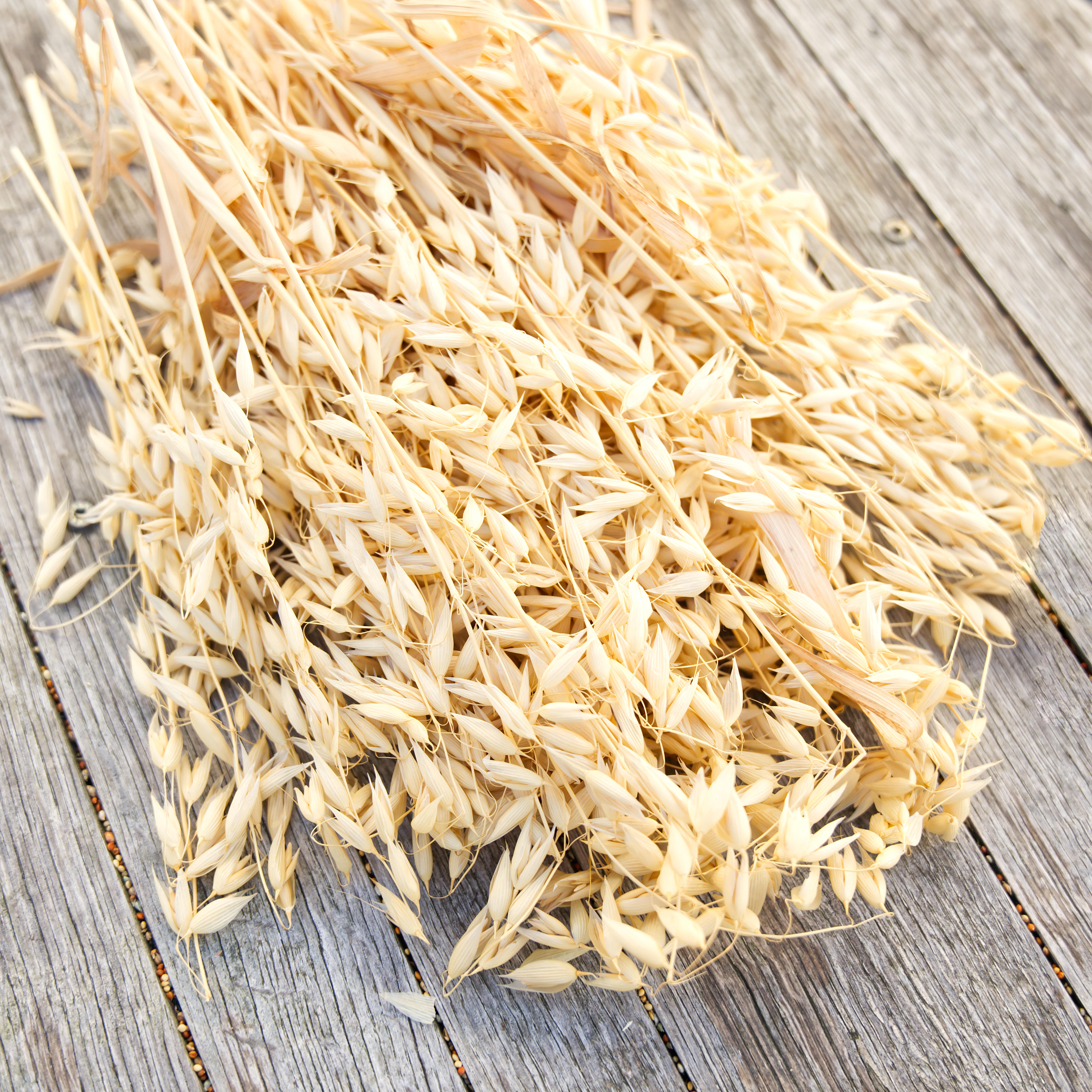 Haferrispe, 50g