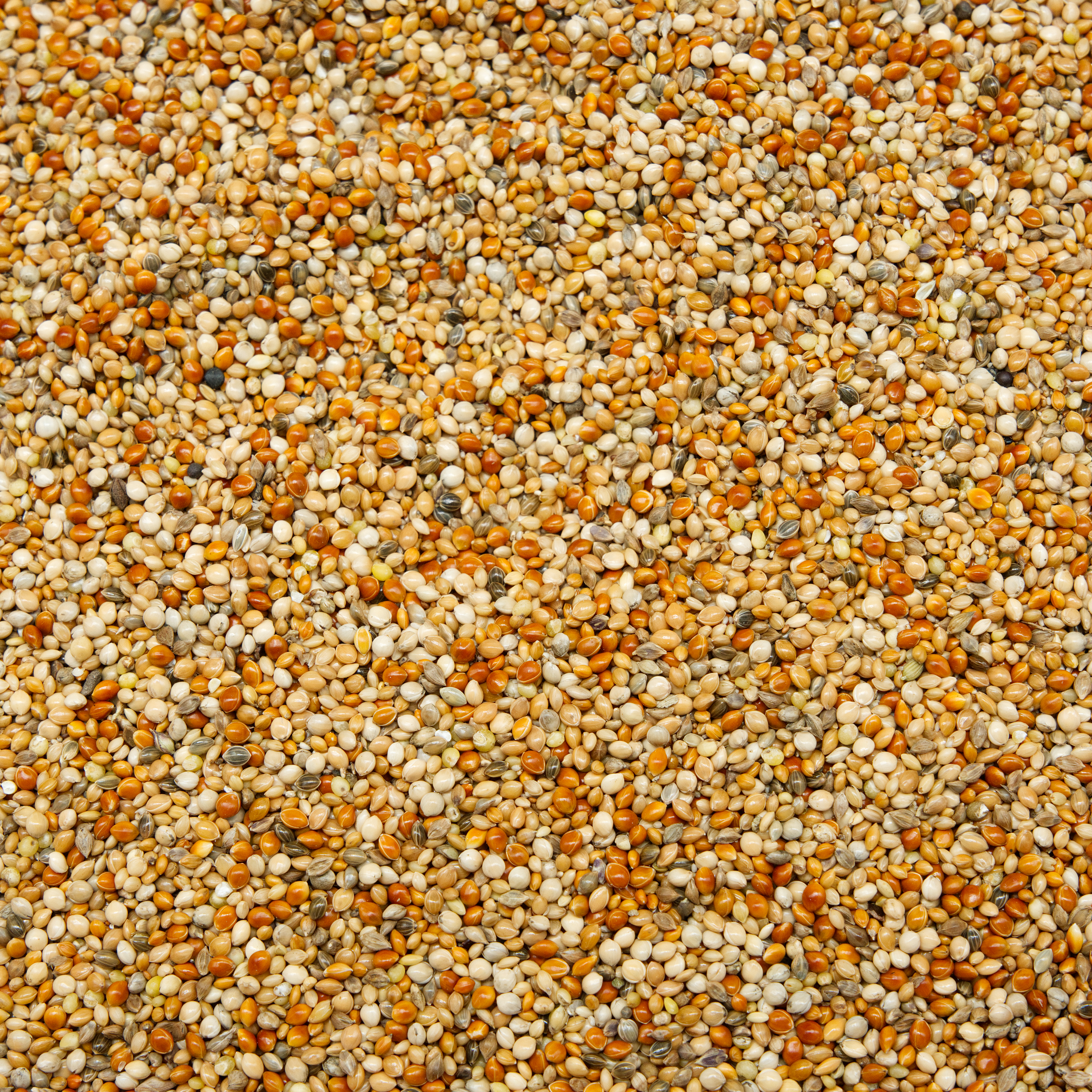 Hirse-Mix