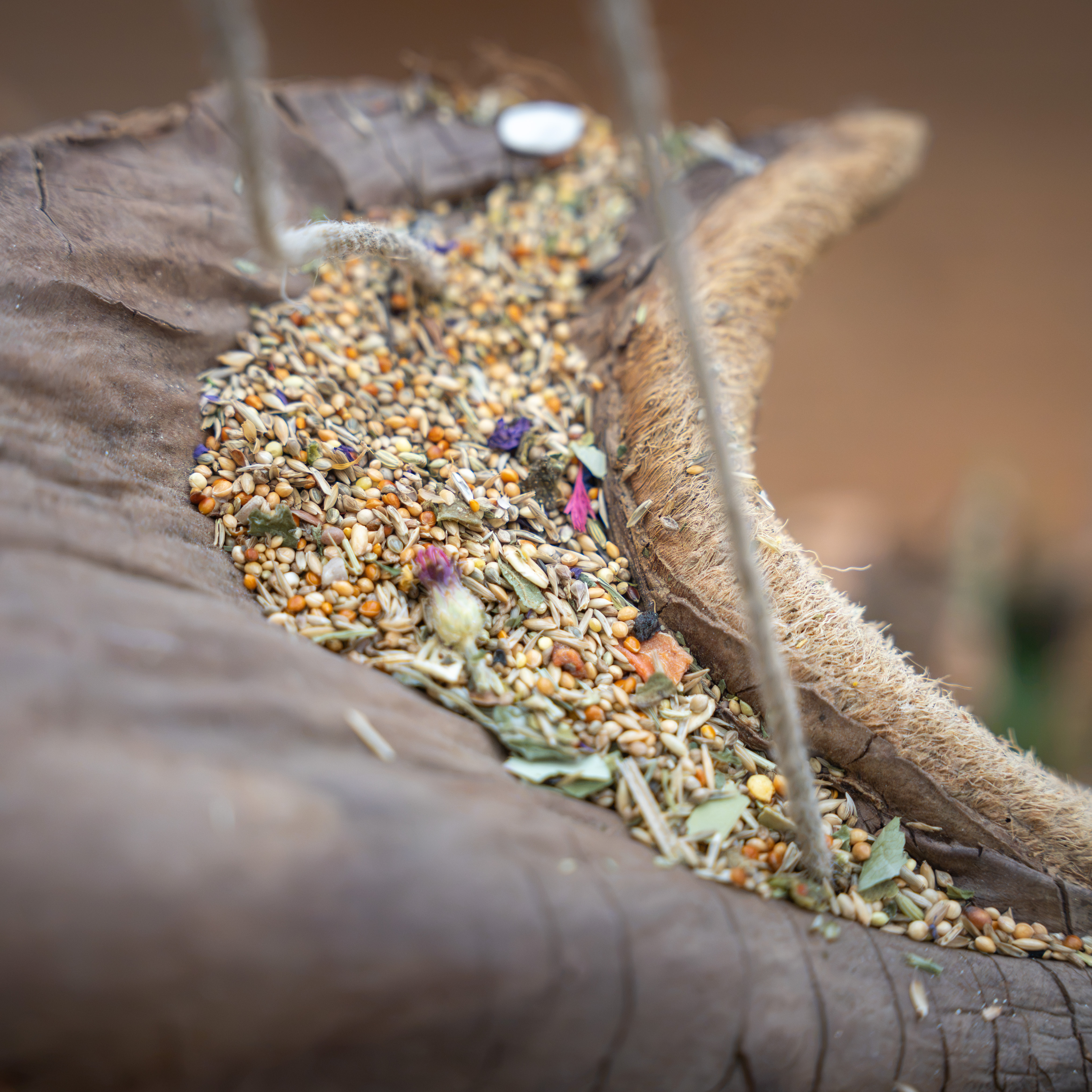 Palmblatt-Oase - Naturschaukel mit Snackmulde