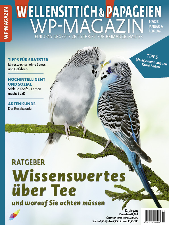 WP-Magazin 1-2026