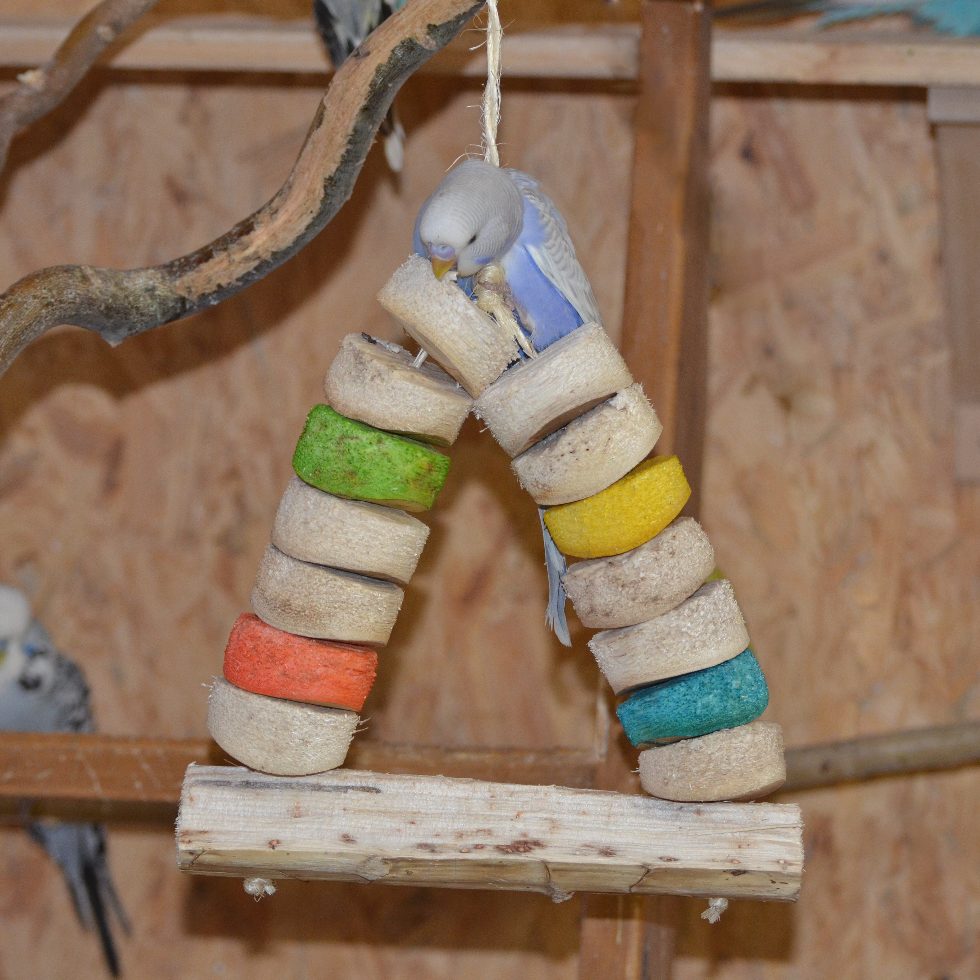 Carnival Bird Kabob