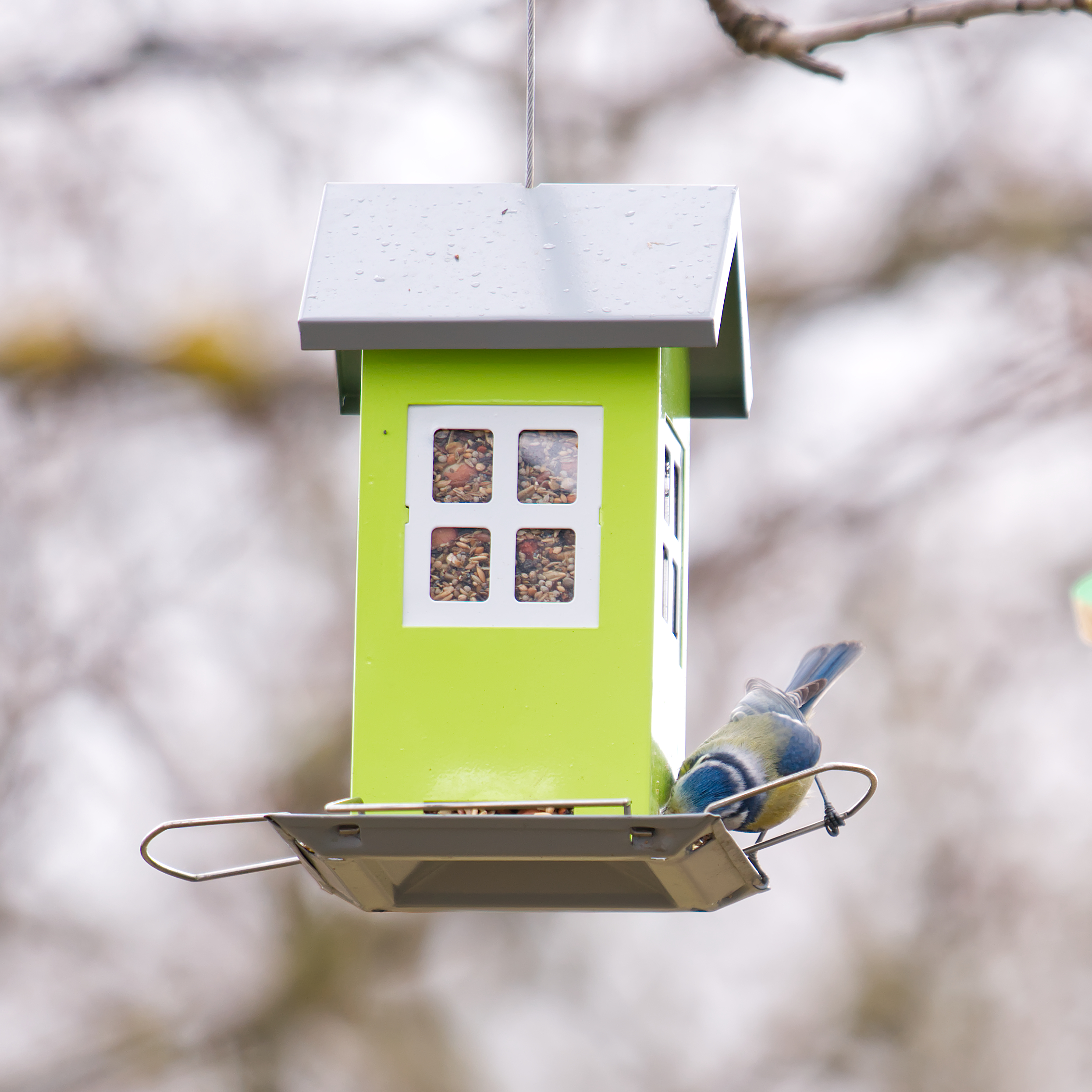 Futterhaus mit abnehmbarem Dach