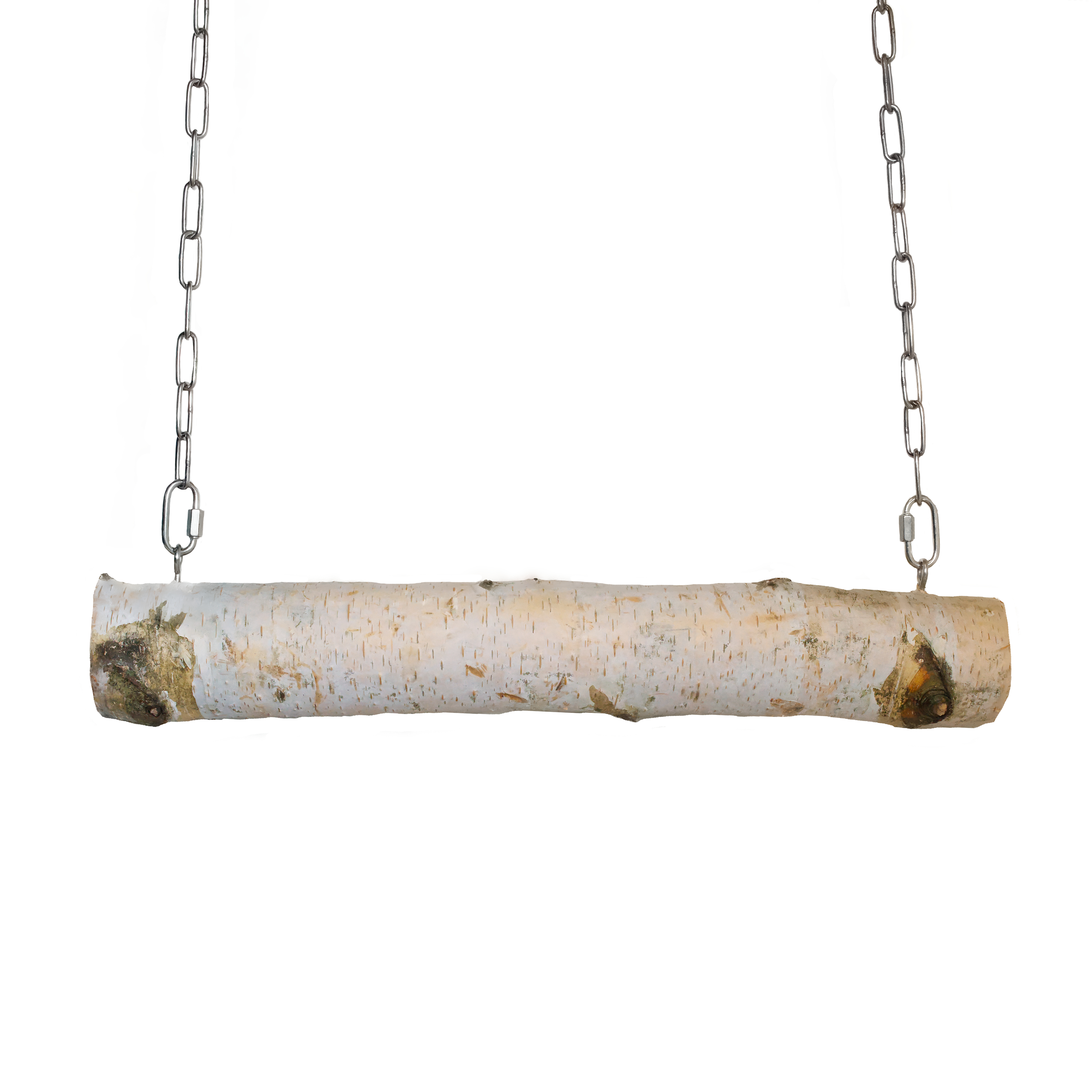 Birkenschaukel für Großpapageien 50cm