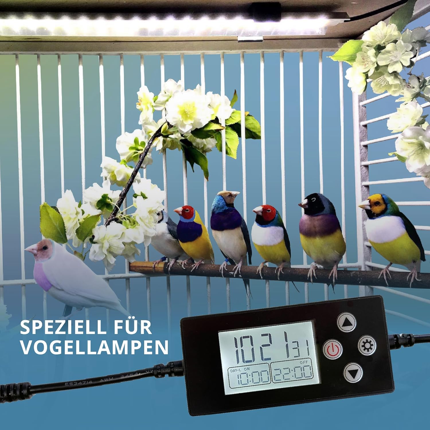 Digitale Zeitschaltuhr