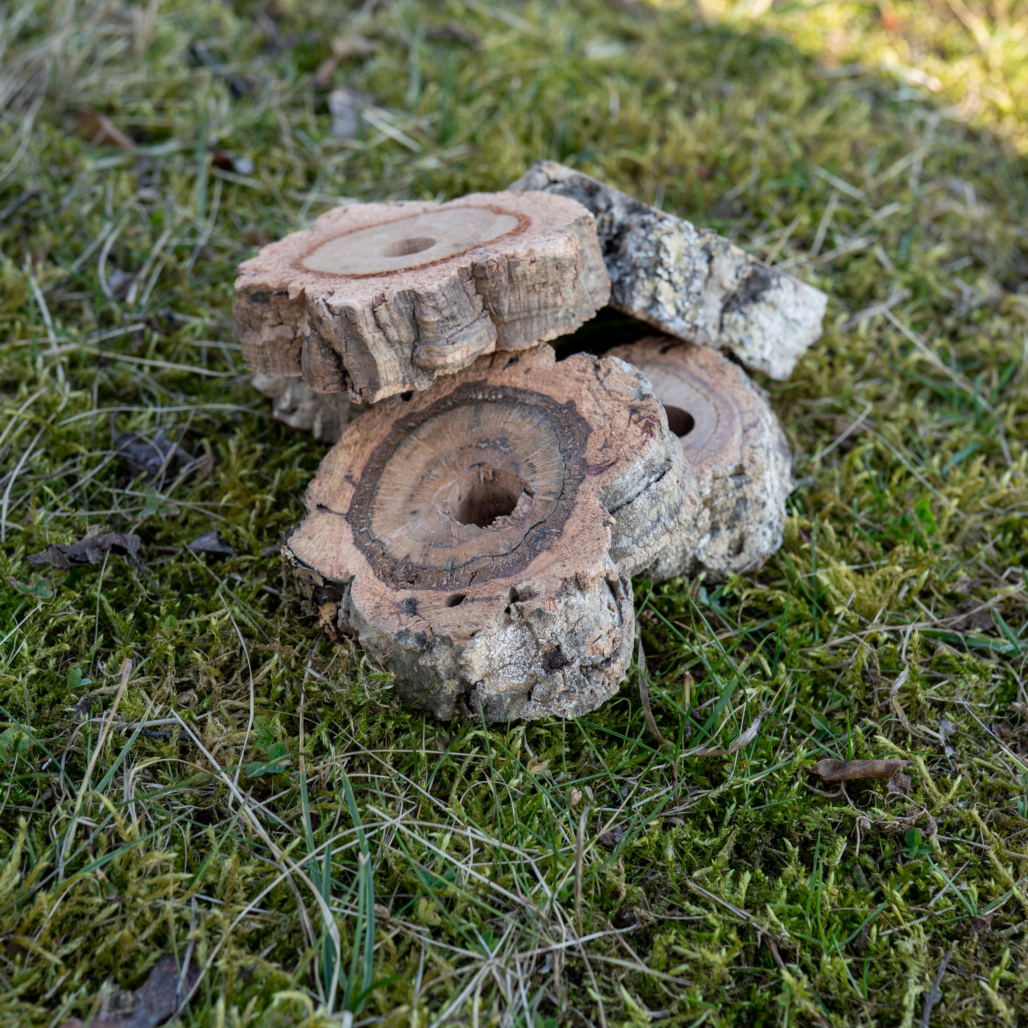 5er Pack Korkscheiben Ø 5-9cm