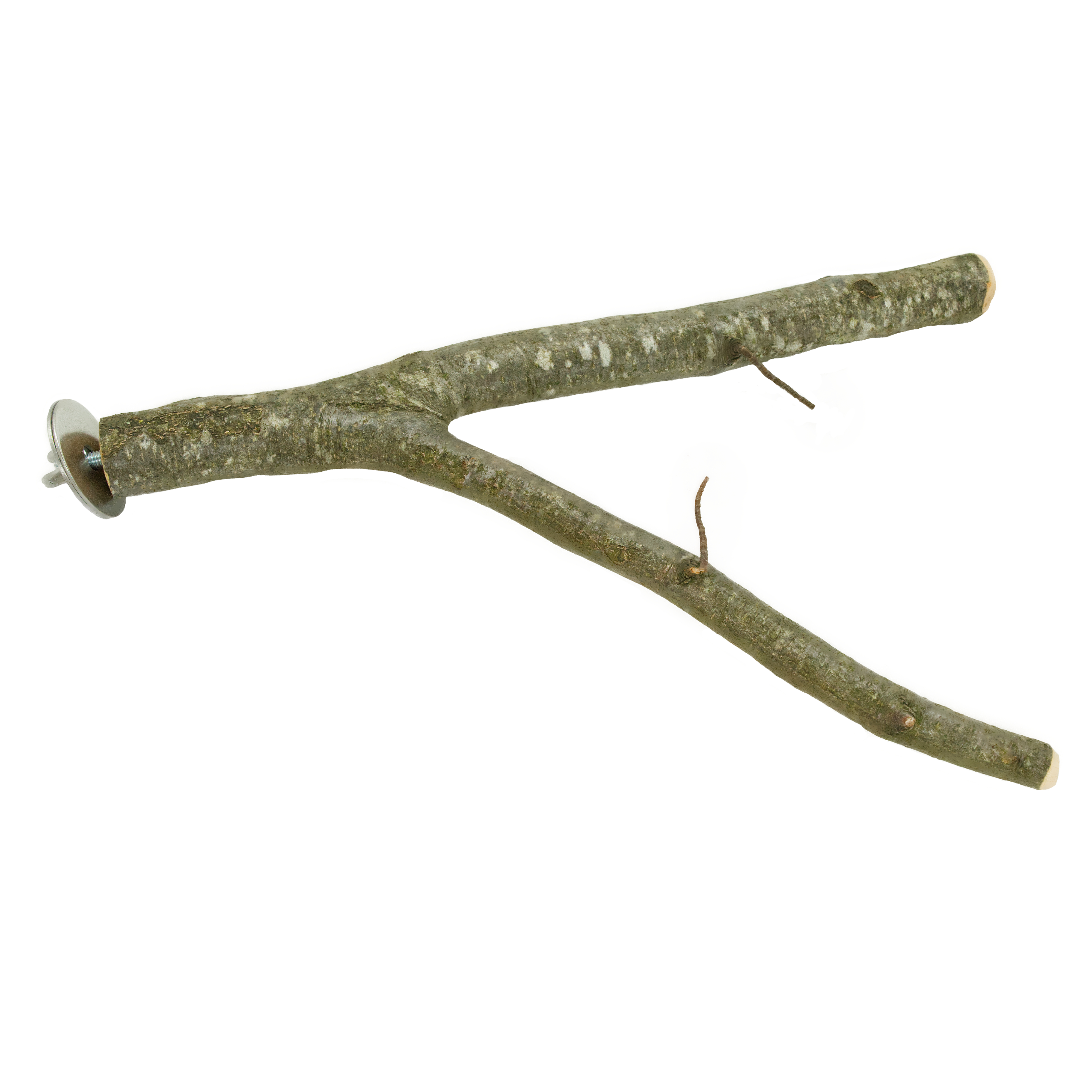 Sittich Naturholzsitzstange verzweigt mit Befestigungsschraube 20 cm/ 30 cm