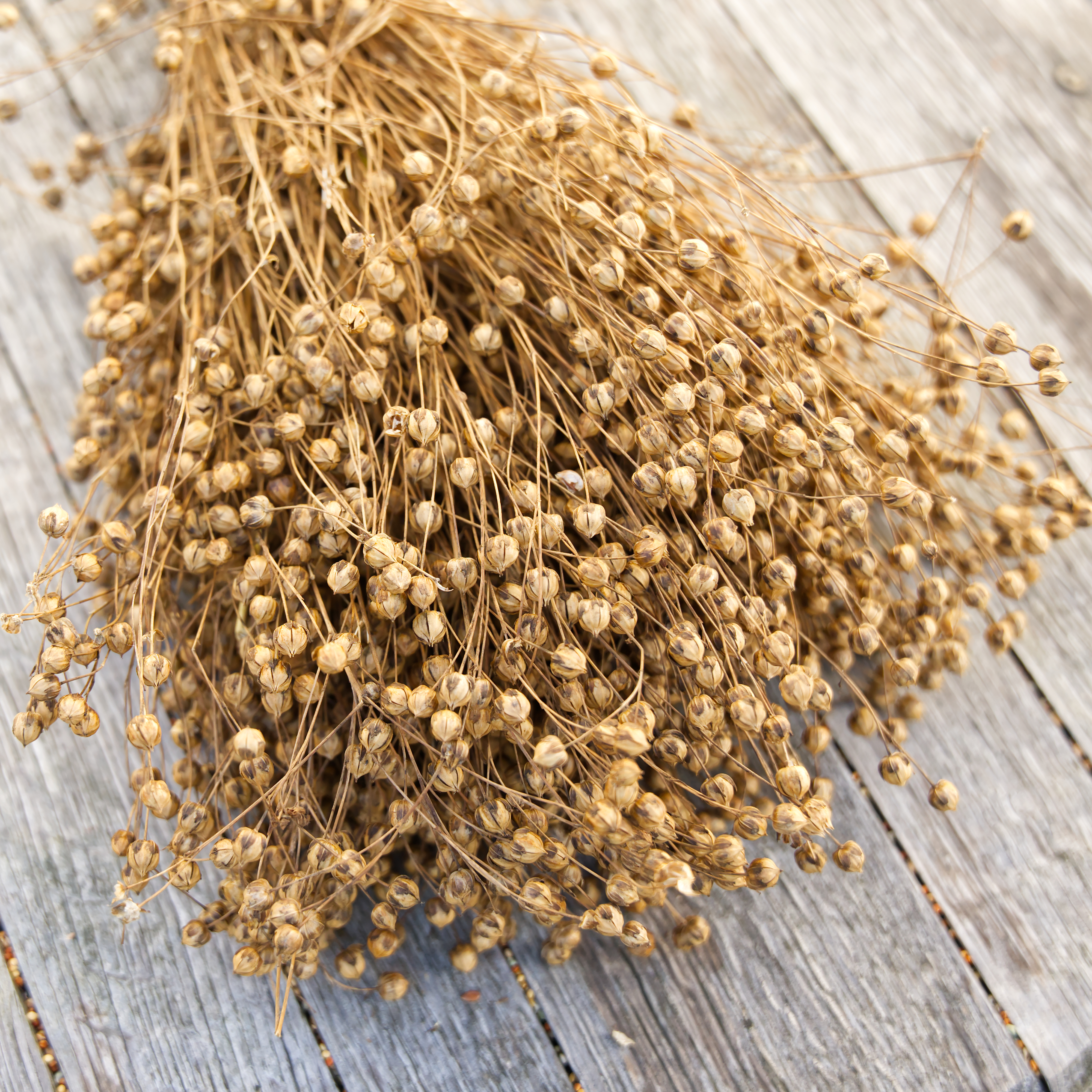 Lein/ Flachs 100g
