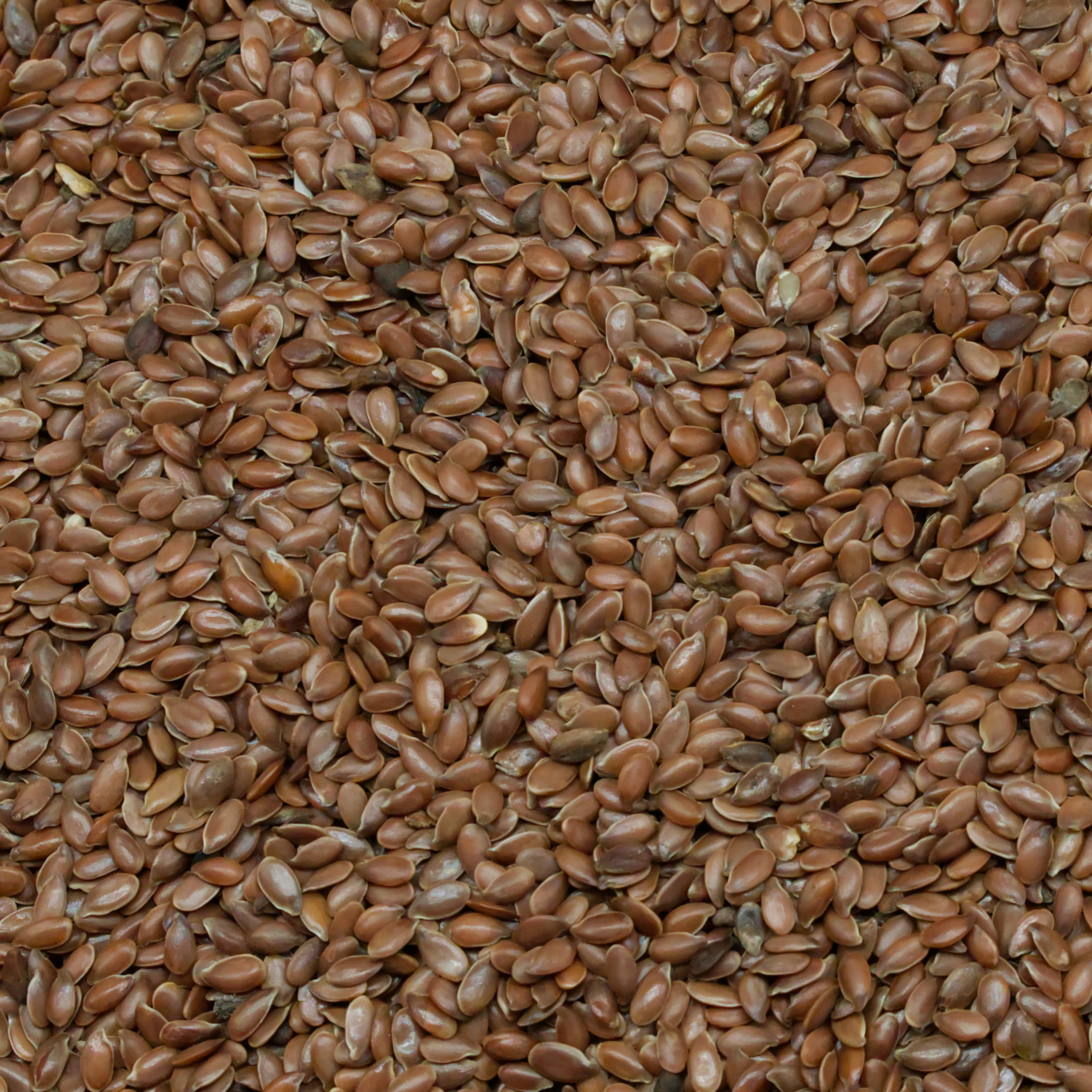 Leinsamen, braun