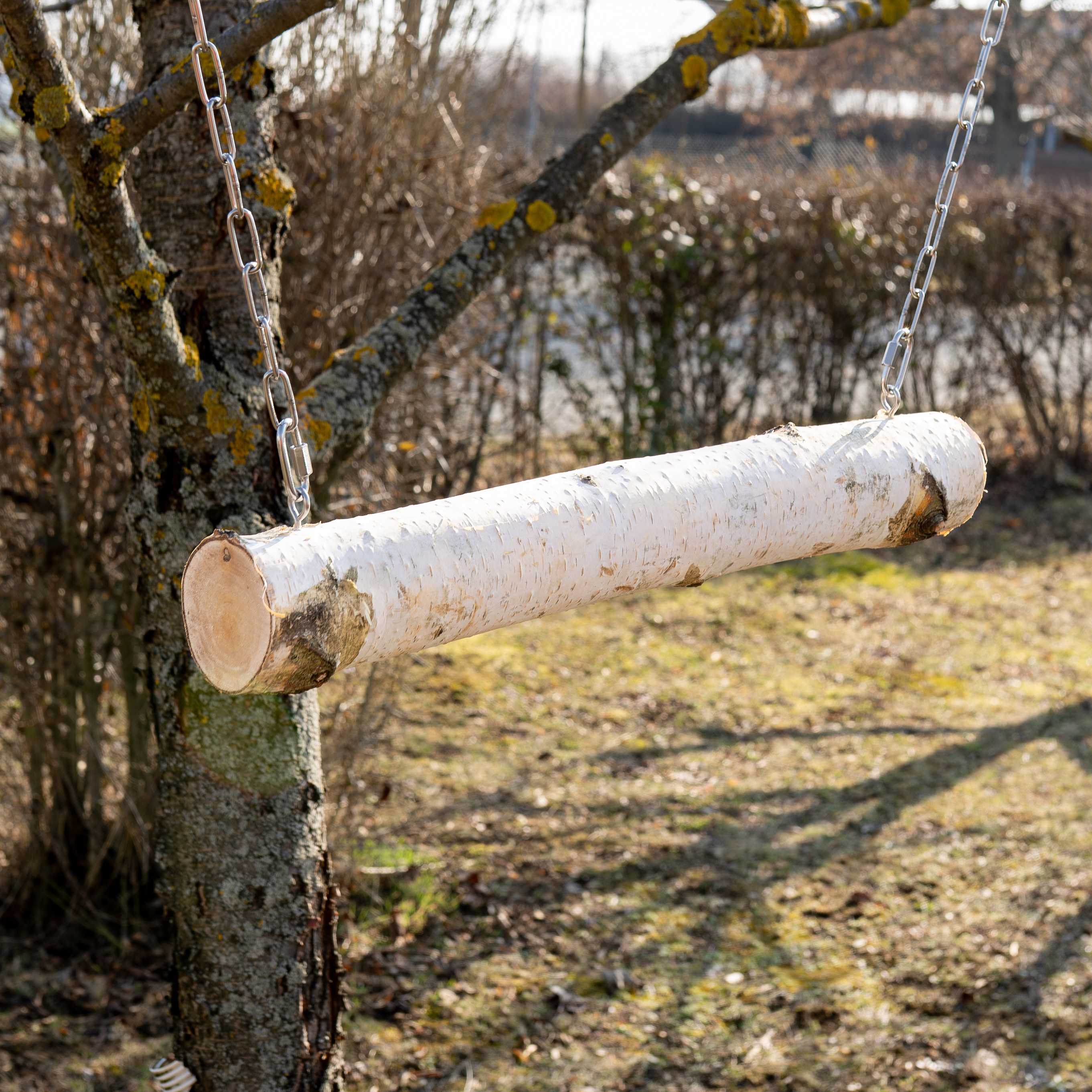 Birkenschaukel für Großpapageien 50cm