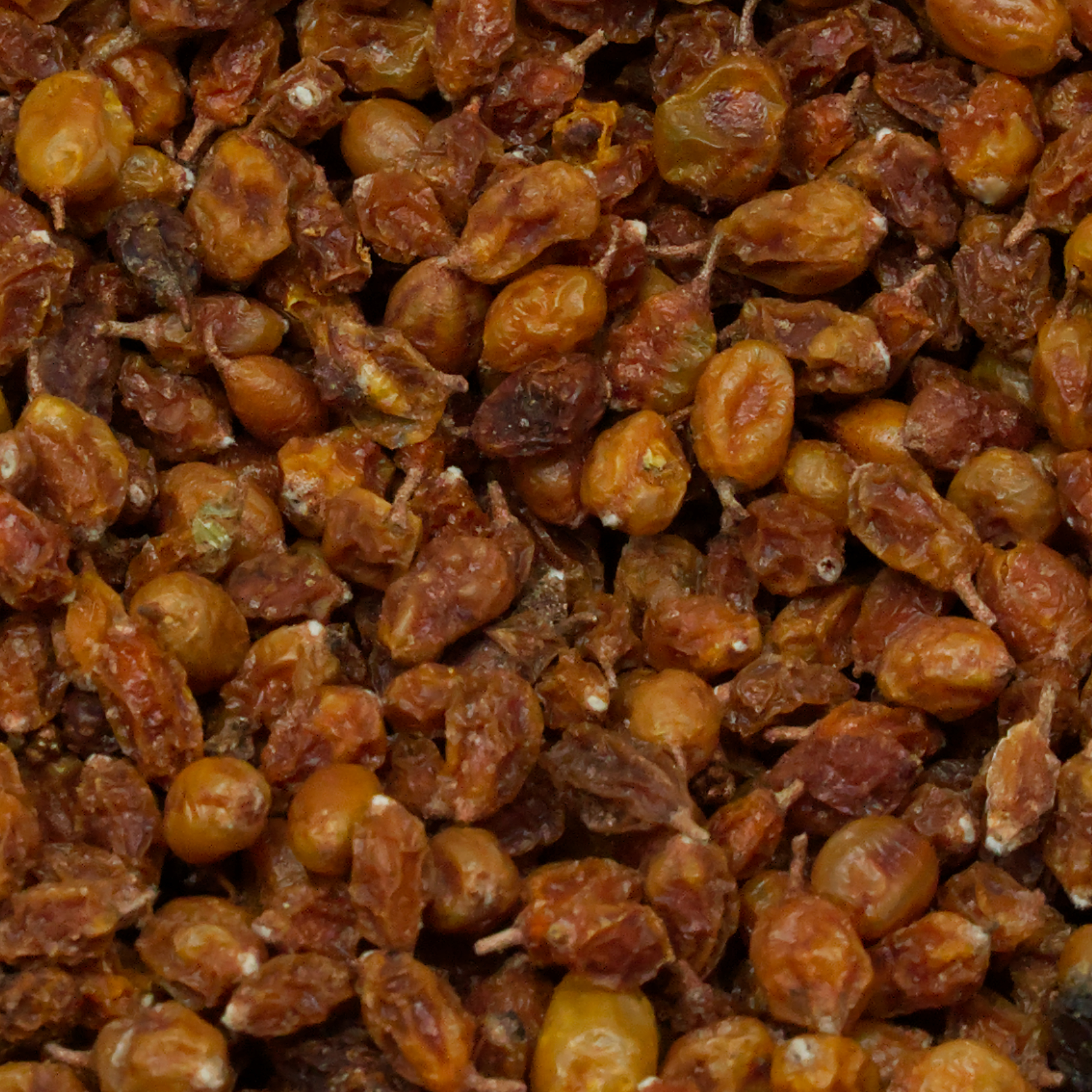 Sanddornbeeren