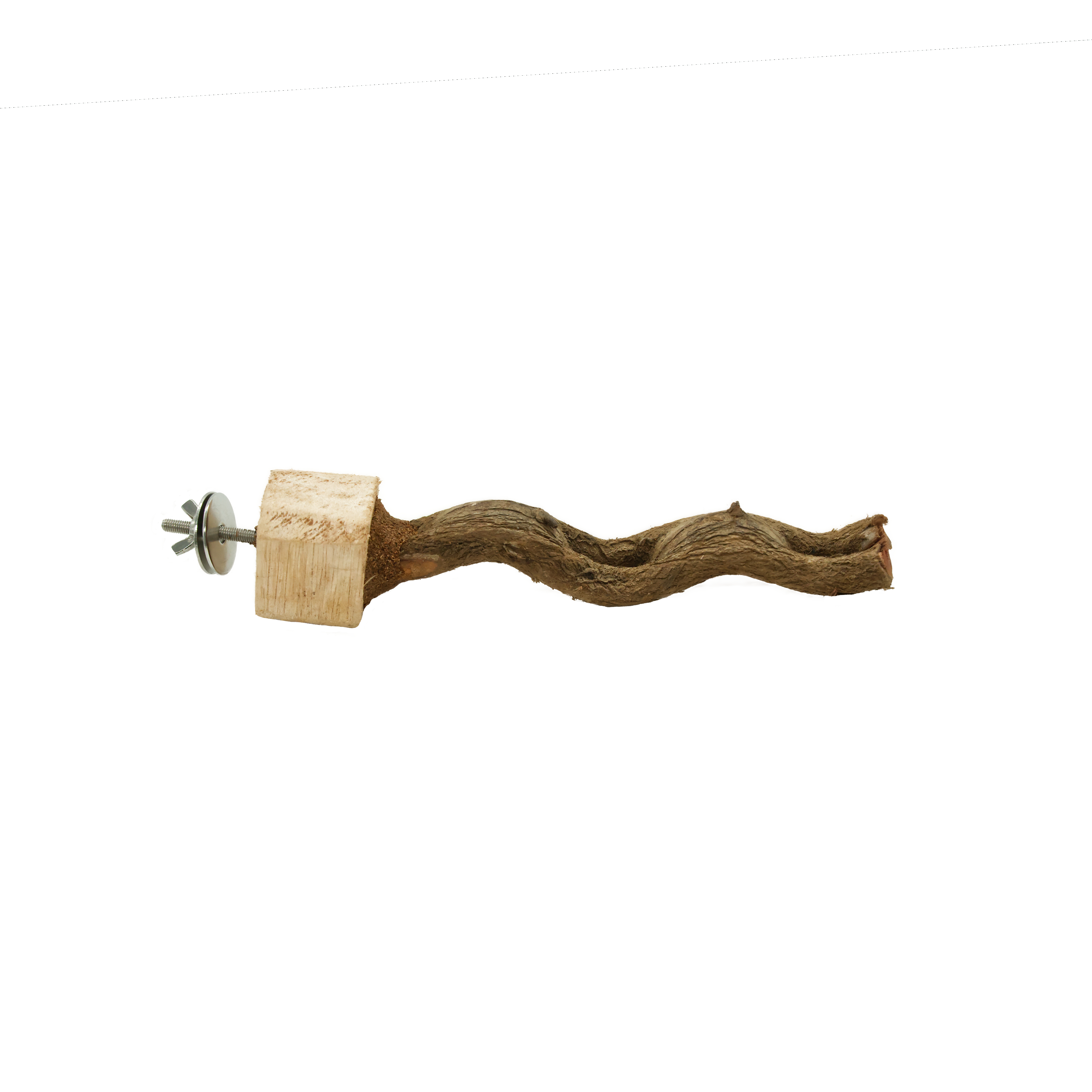 Lianensitzstange mit Halterung, klein ca. 25 - 30 cm