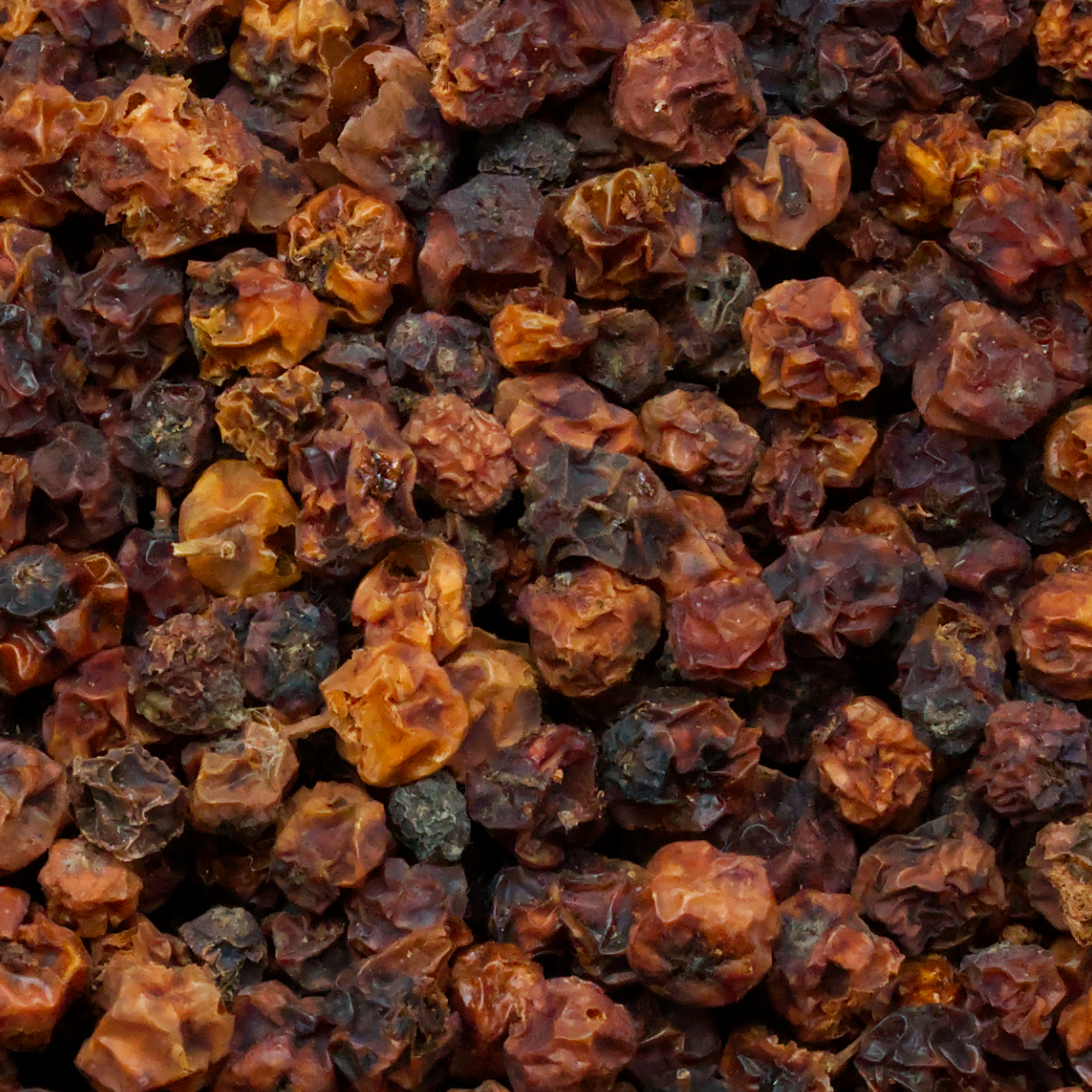 Ebereschenbeeren