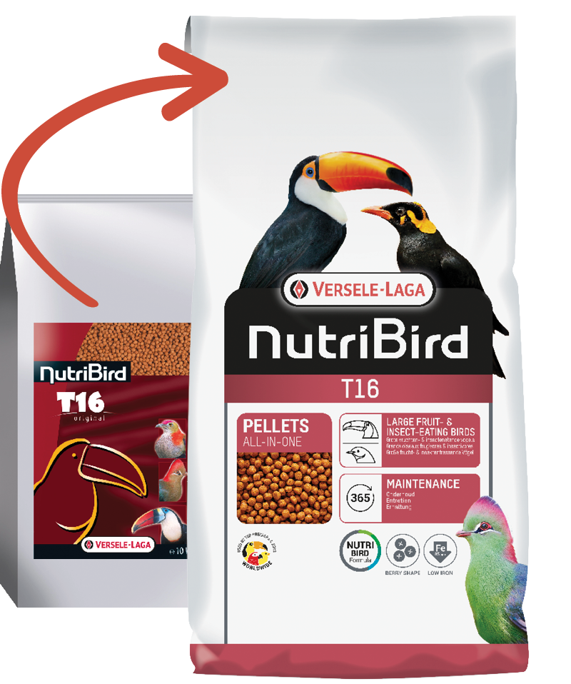 Beo NutriBird T16